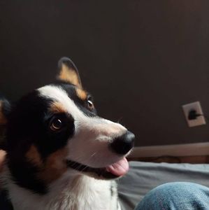 Meet your Posher, Ethan